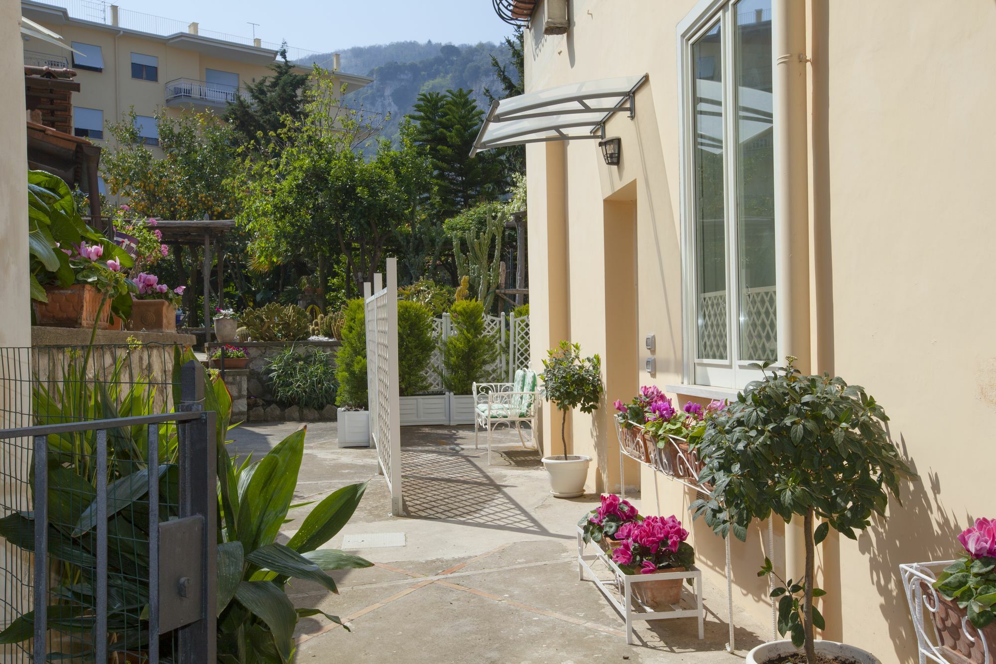 Dreaming Sorrento Suites Екстериор снимка